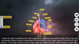 How to cancel & delete respiratory system physiology 2