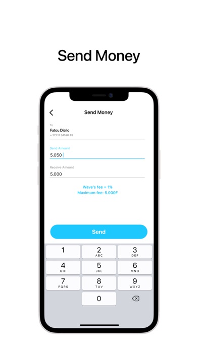 Wave - Mobile Money Screenshot