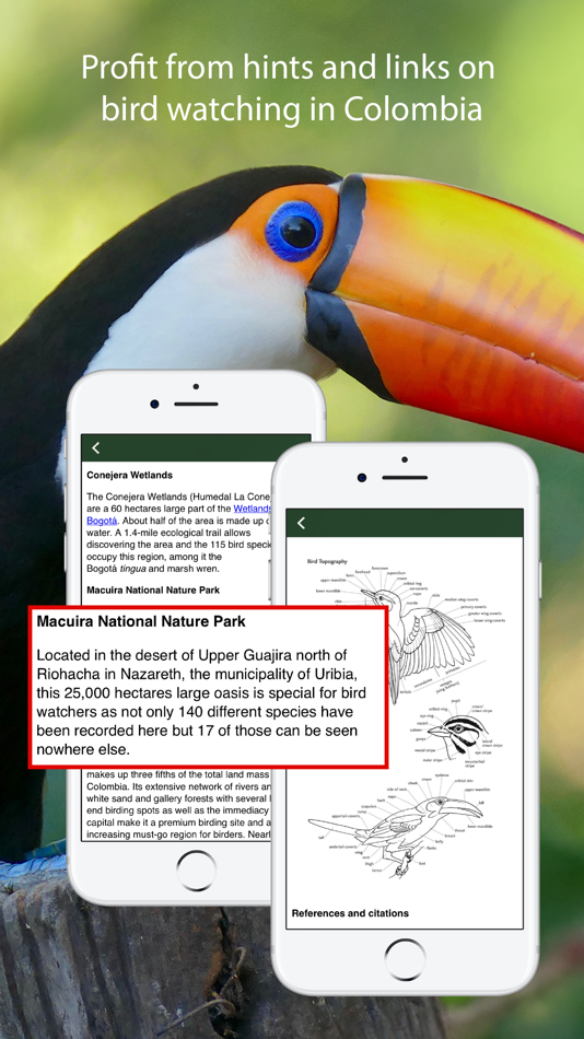 #6. All Birds Colombia field guide (iOS) Podle: Sunbird Images OHG