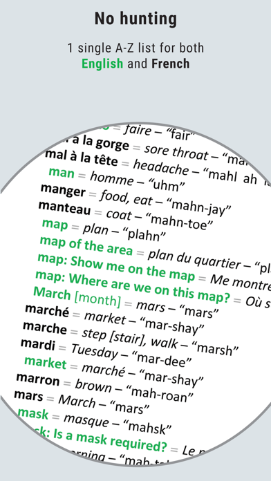 Traveler’s French Cheat Sheet Screenshot