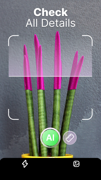 Plant Pic Identifier Screenshot