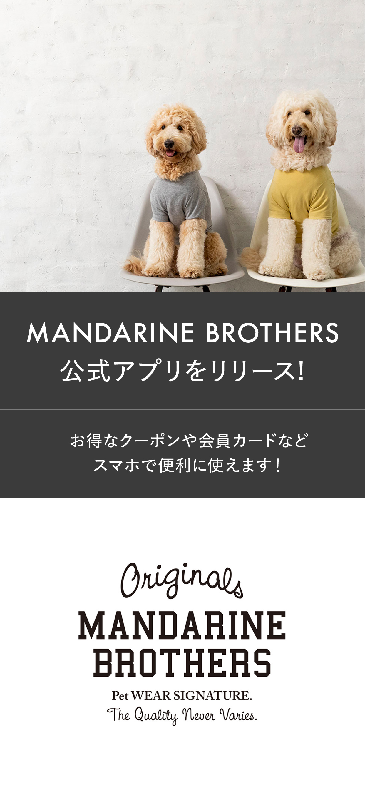 MANDARINE BROTHERS