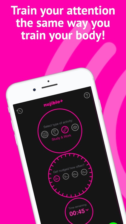 Nujible+ Attention Training