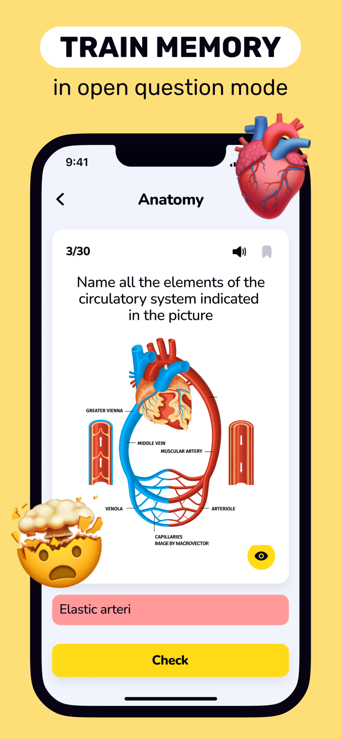 Flashcards Maker — Study Pro