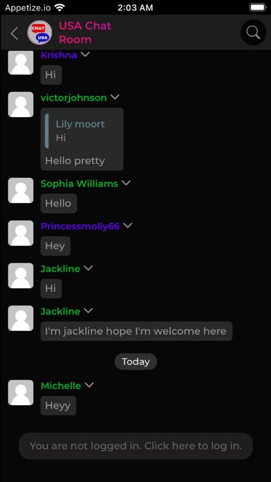 USA Chat Room Screenshot