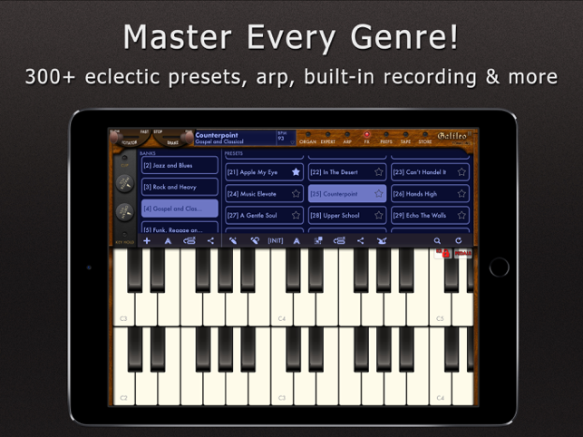 Galileo Organ 2 Screenshot