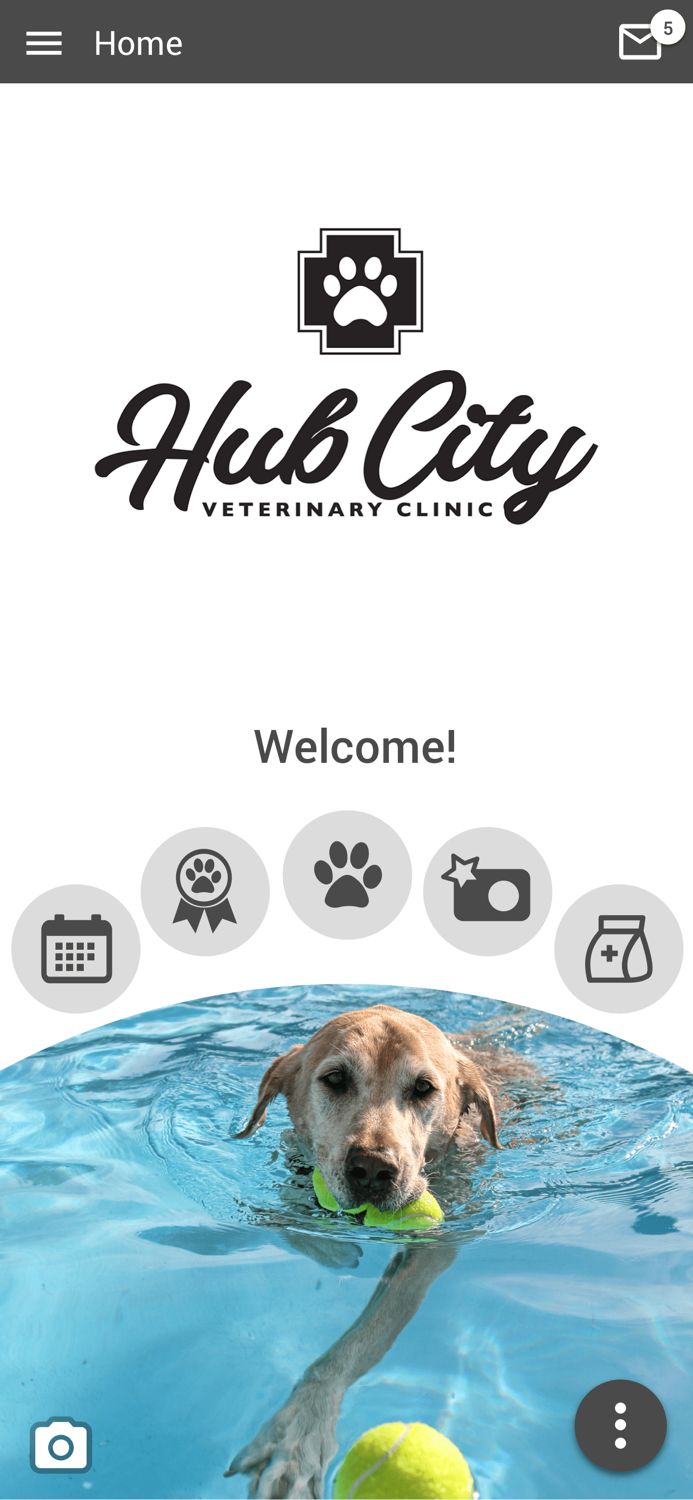 Hub City Vet