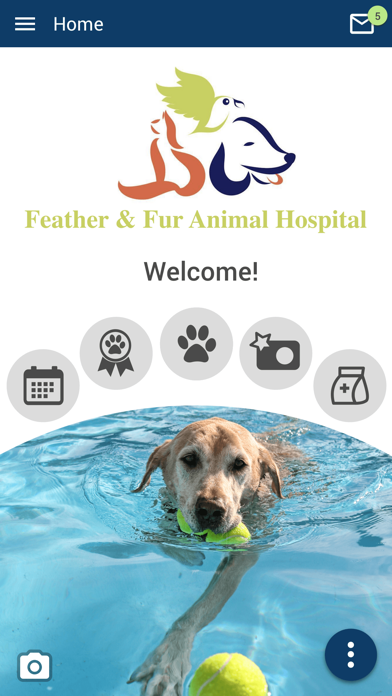 Feather and Fur Screenshot