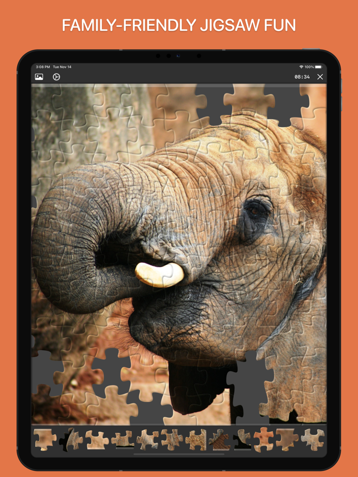 Jigsaw Puzzle Game for Family