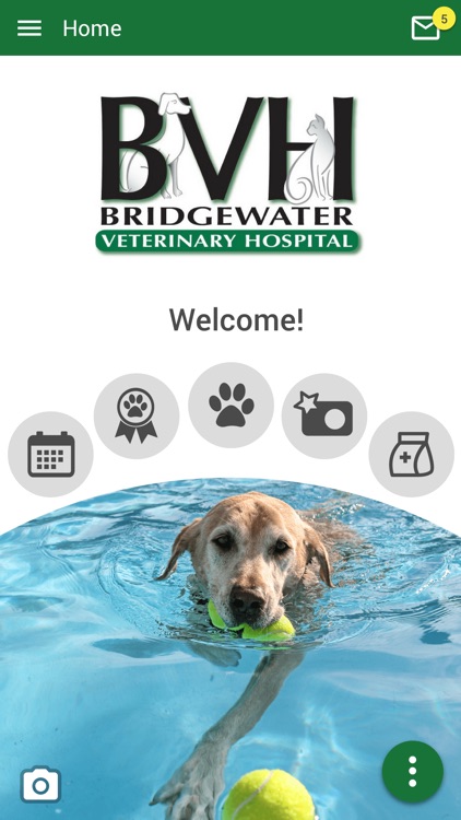 Bridgewater Vet Hospital