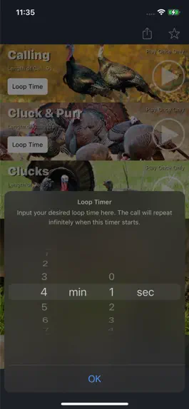 Game screenshot Turkey Calls for Hunting apk