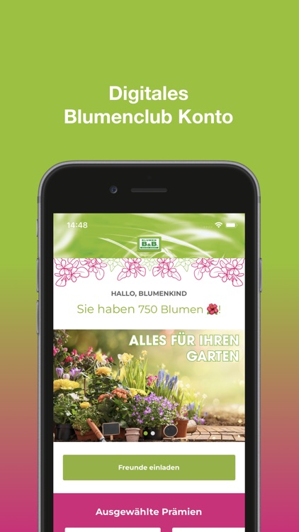 Blumen B&B