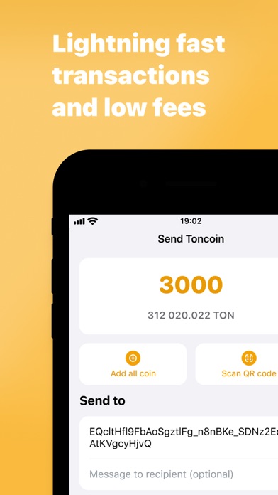 Ton Sandbox Wallet Screenshot