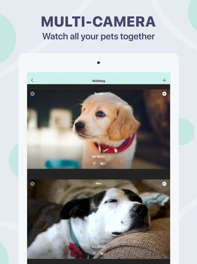 ‎Buddy : Moniteur de chien Capture d'écran