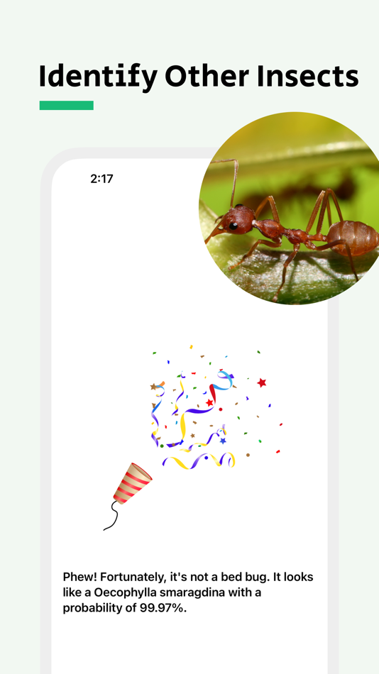 #4. Bug Identifier - Punaise (iOS) Podle: Saad Belfqih