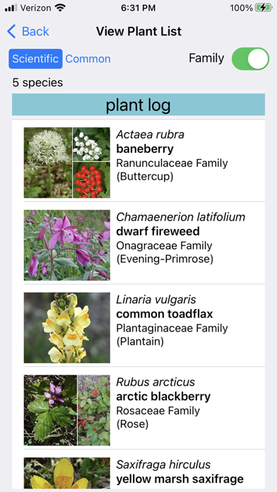 NT Wildflowers Screenshot