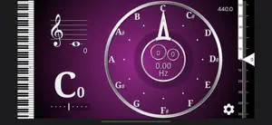 CarlTune - Chromatic Tuner screenshot #2 for iPhone