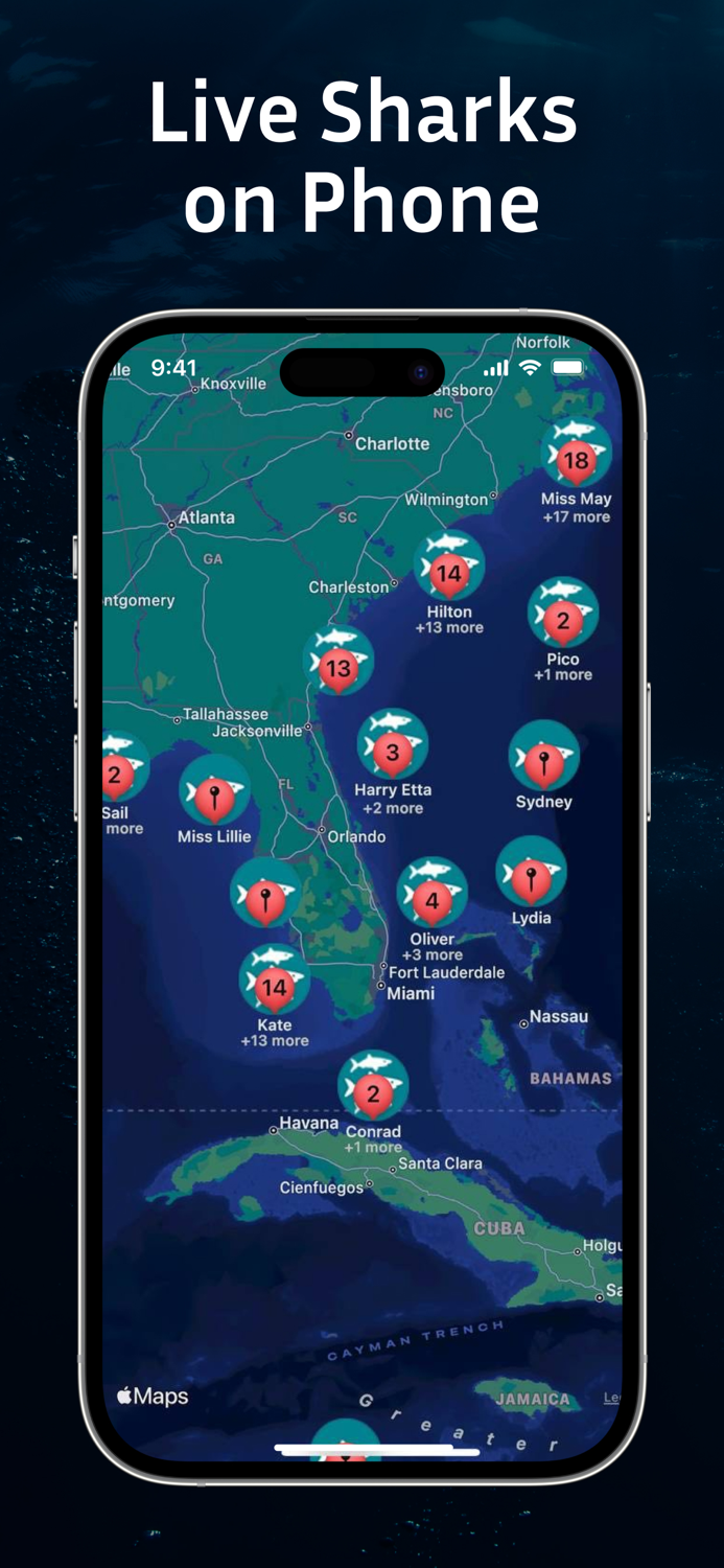 Shark Tracker Shark Finder