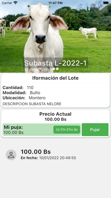 Lazo Rural Screenshot