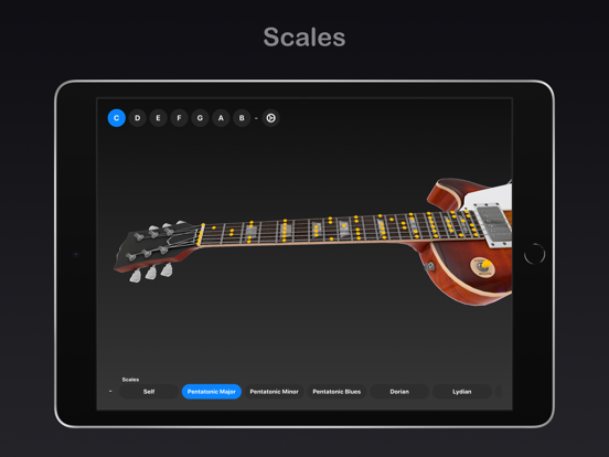 Guitar Chords, Tabs and Scales iPad app afbeelding 4