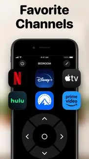 tv remote +ㅤ iphone screenshot 4