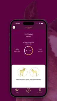 FoalFollow English iphone bilder 3