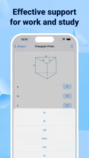 surface area calculator + cost iphone screenshot 3