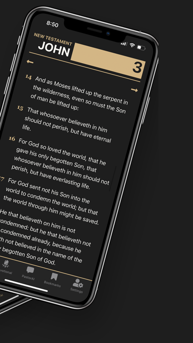 Insight Bible Screenshot