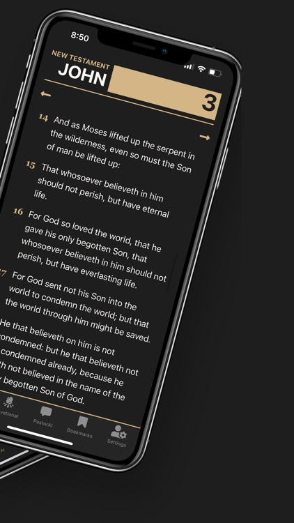 Insight Bible