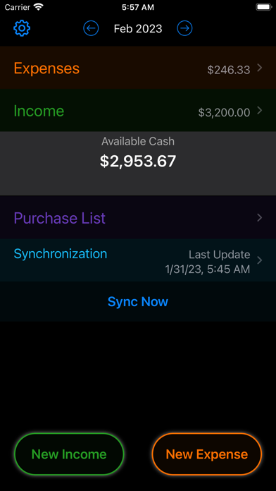 Simple Family Accounting Screenshot