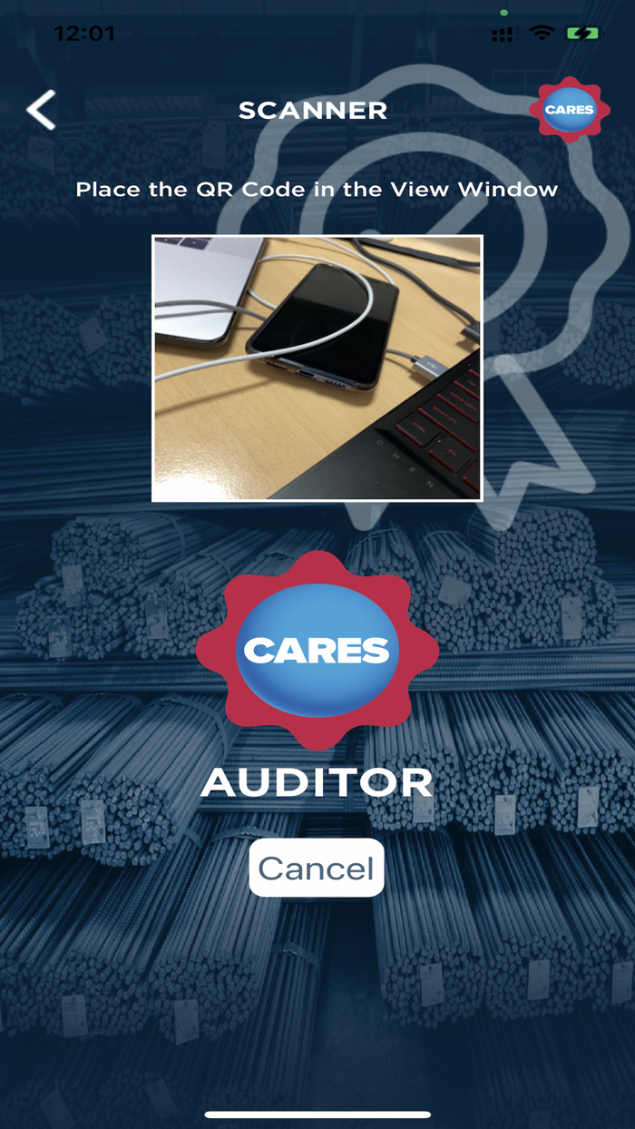 CARES Auditor