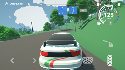 N3Rallyのおすすめ画像1