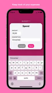 suzan's budgets iphone screenshot 3
