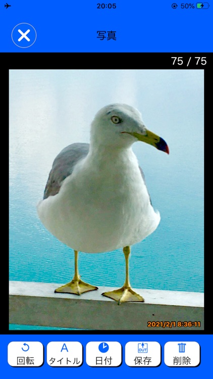 SwipeShutterCamera