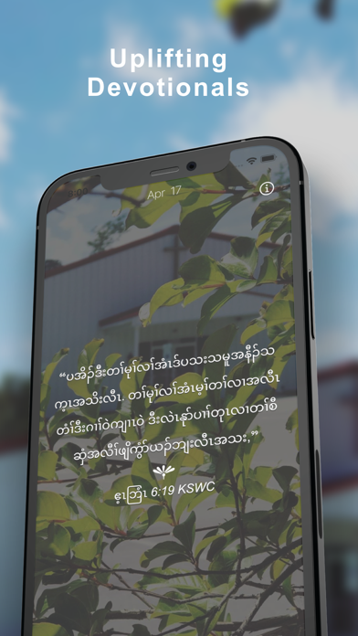 DailyRice Screenshot