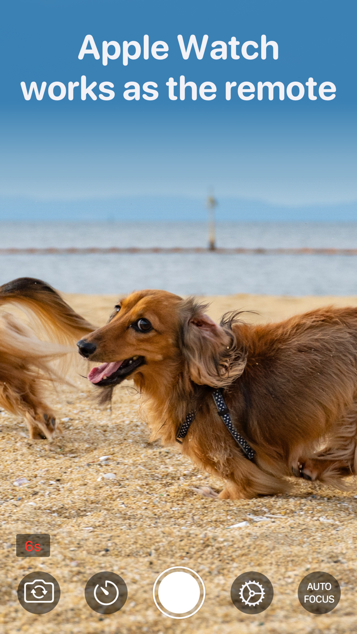 Video Buffer Action Camera PRO