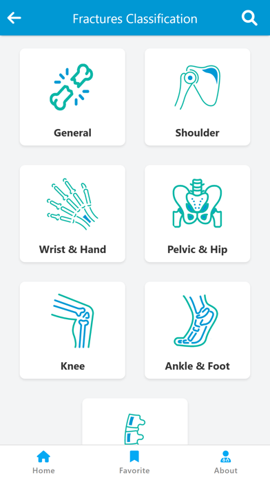 Orthopedic Classification Screenshot