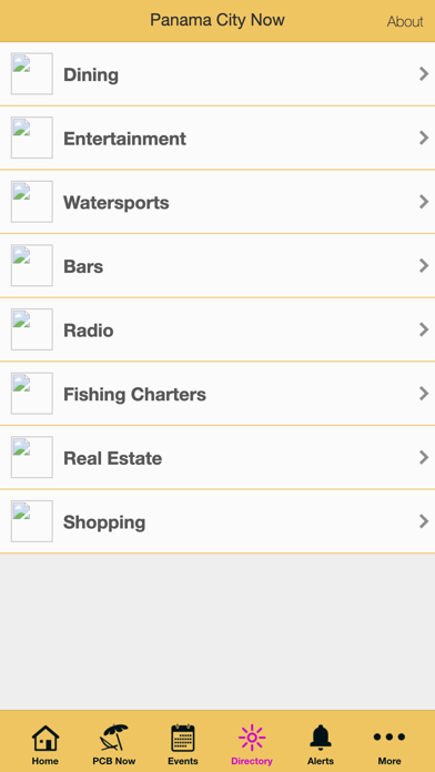 Panama City Now Screenshot