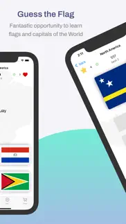 flags learning quiz iphone screenshot 3
