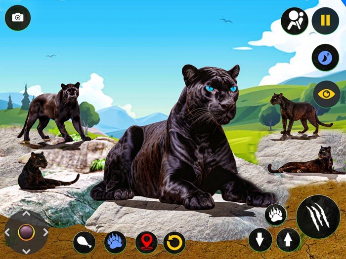 Wild Black Panther Furious Sim