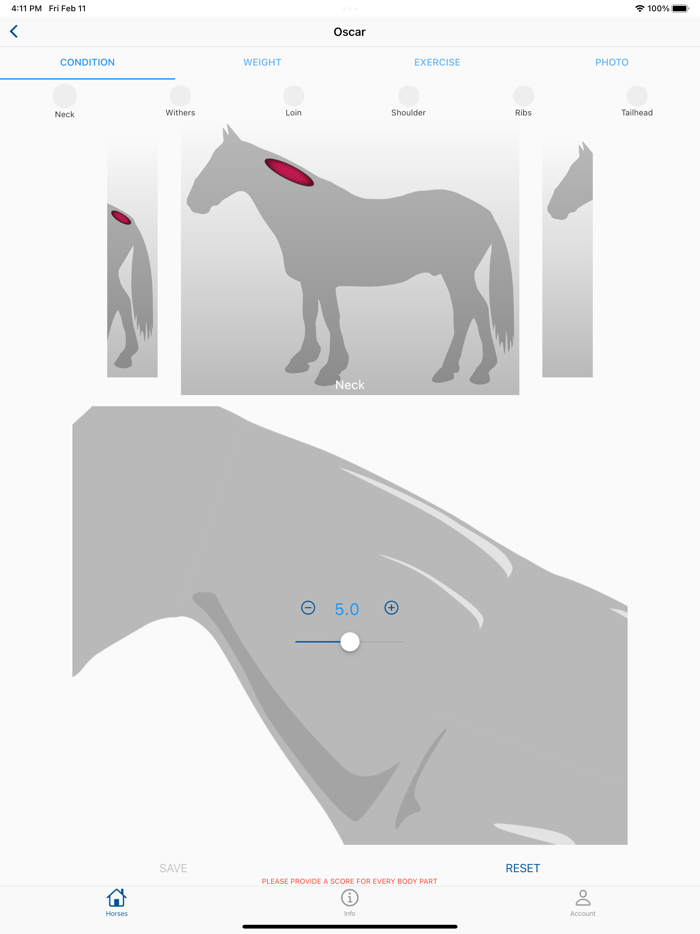 Equine Body Condition Scoring