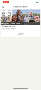 Designer Horse Sales screenshot #3 for iPhone