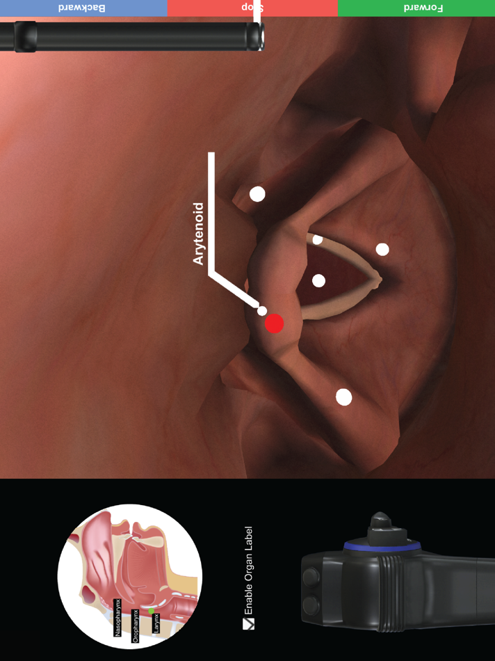 #4. ENT Scope (Virtual Training) (iOS) 由: APost