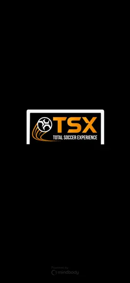 Game screenshot Total Soccer eXperience mod apk
