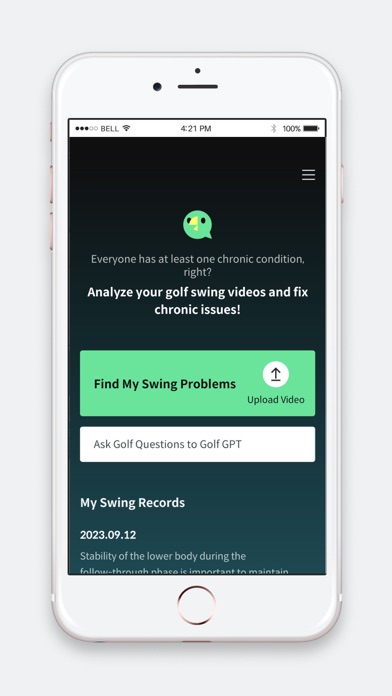BirdiePT Screenshot