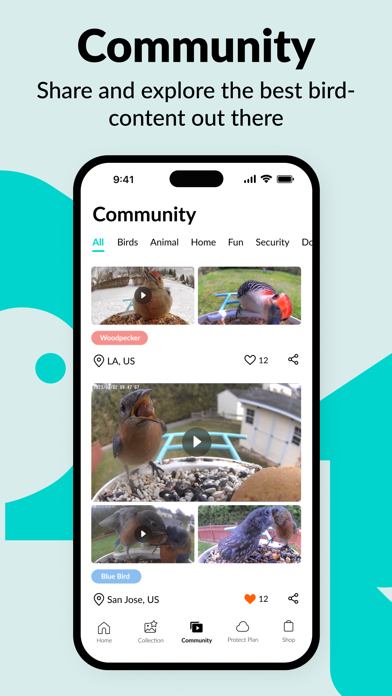 Screenshot #2 pour Birdfy