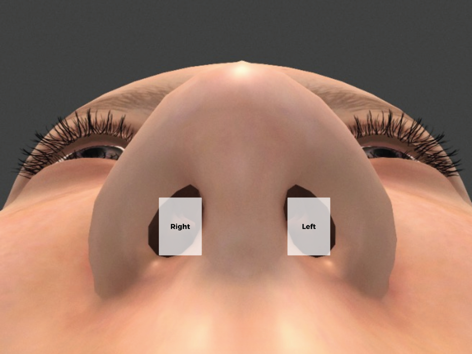 #1. ENT Scope (Virtual Training) (iOS) 由: APost