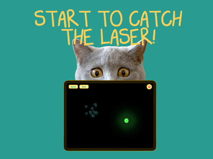 Cat laser pointer  - Pet fun