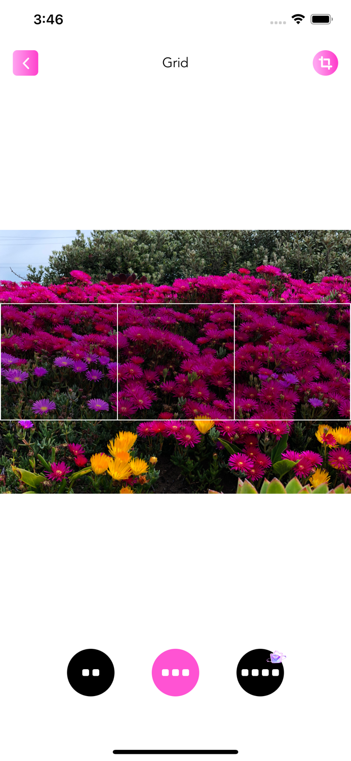 Ava Dots  Headshot-Gallery