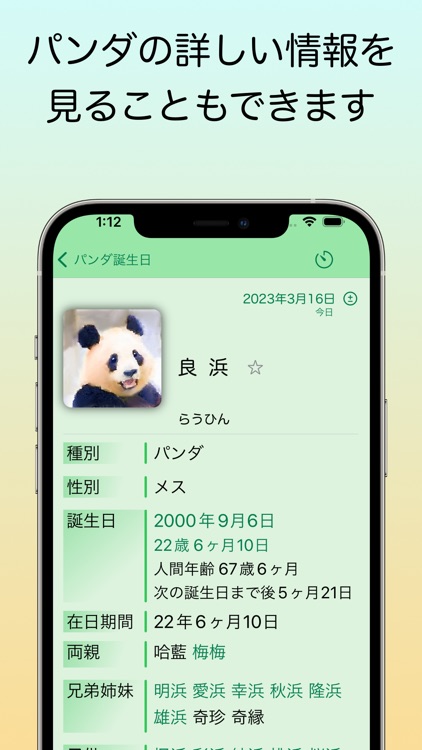 パンダ誕生日 screenshot-6